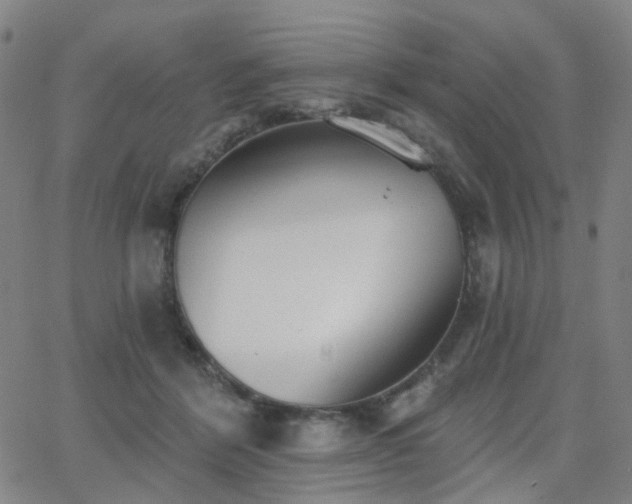 X0000063450412200601201225