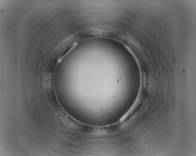 X0000063450413200601201225