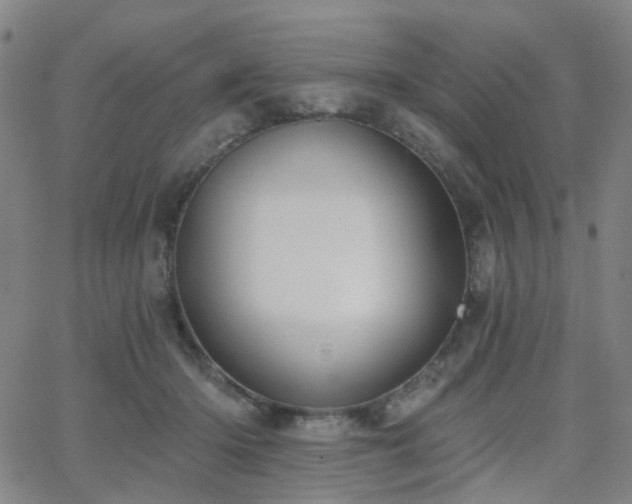 X0000063450414200601201225