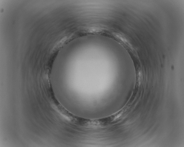 X0000063450415200601201225