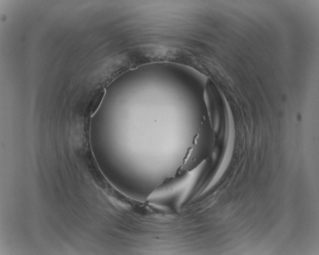 X0000063450416200601201225