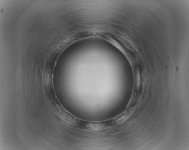 X0000063450417200601201225