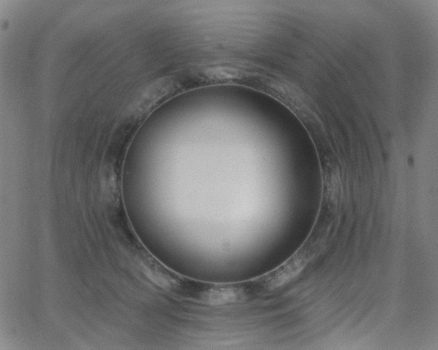 X0000063450418200601201225