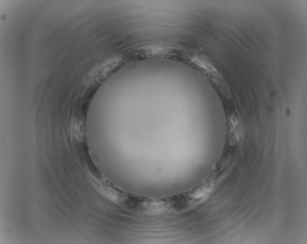 X0000063450419200601201225