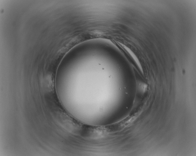 X0000063450420200601201225