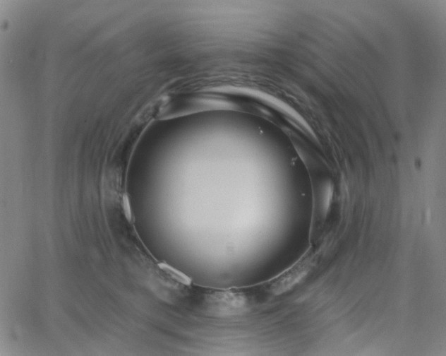 X0000063450421200601201225