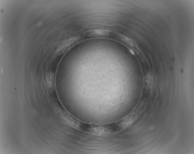 X0000063450423200601201225