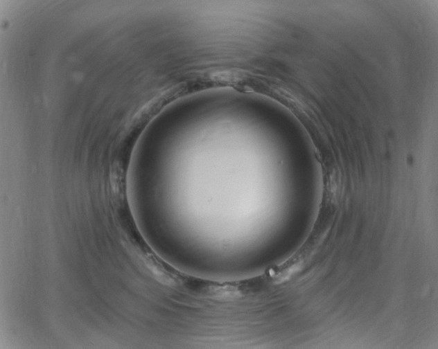 X0000063450424200601201225