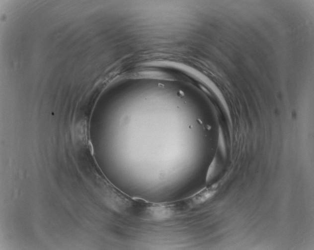 X0000063450425200601201225