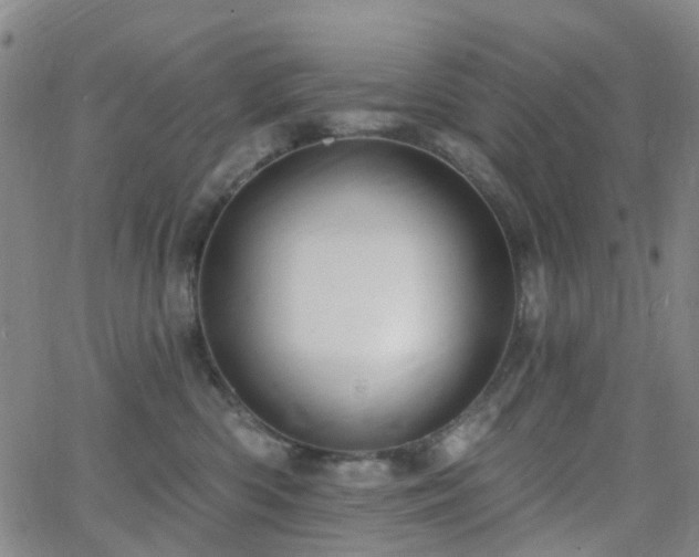 X0000063450426200601201225