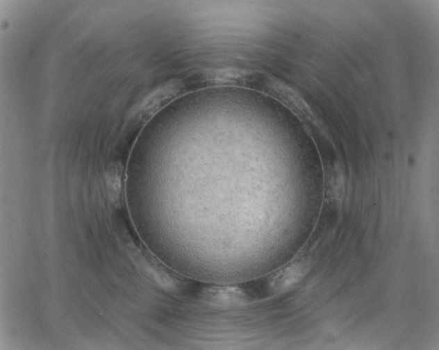 X0000063450427200601201225