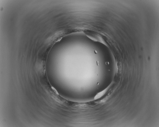 X0000063450428200601201225