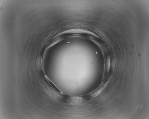 X0000063450429200601201225