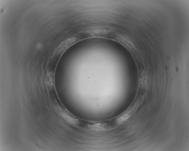 X0000063450430200601201225