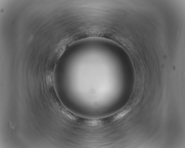 X0000063450432200601201225