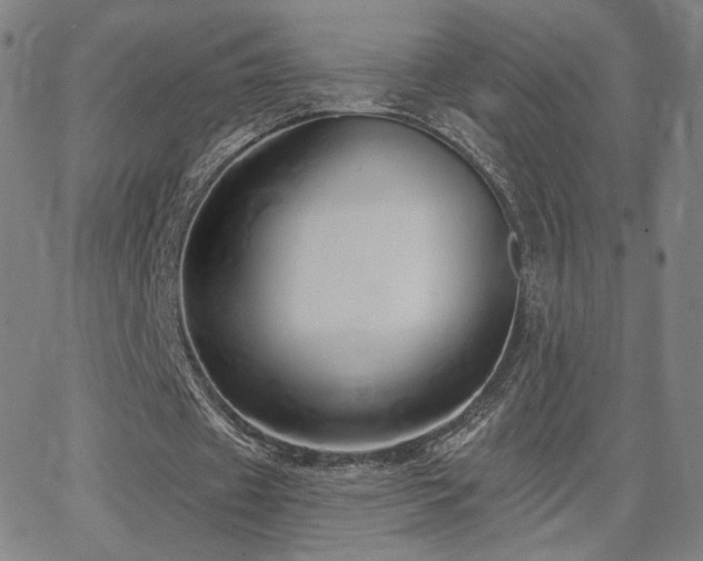 X0000063450433200601201224