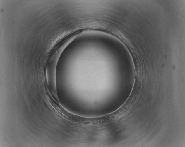 X0000063450434200601201224