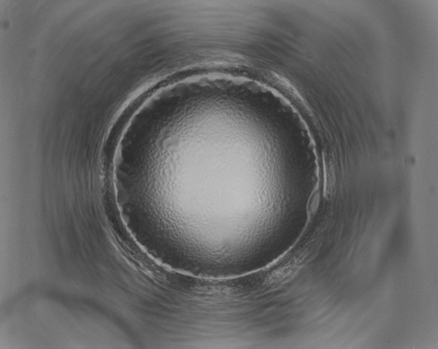 X0000063450435200601201224