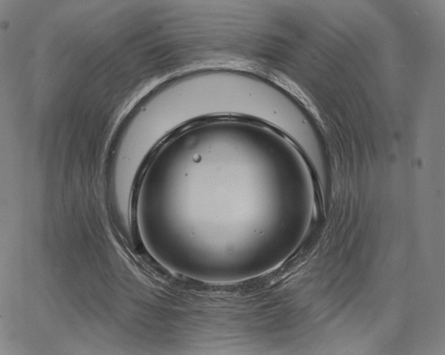 X0000063450436200601201224