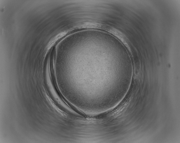 X0000063450437200601201224