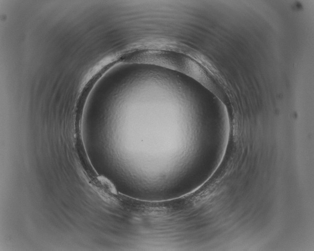 X0000063450438200601201224