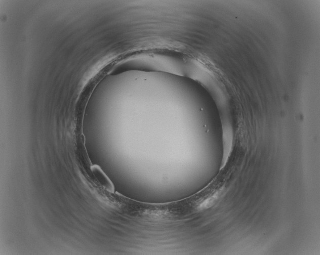 X0000063450440200601201224