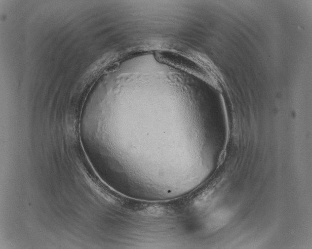 X0000063450441200601201224