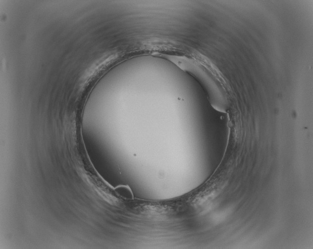 X0000063450442200601201224