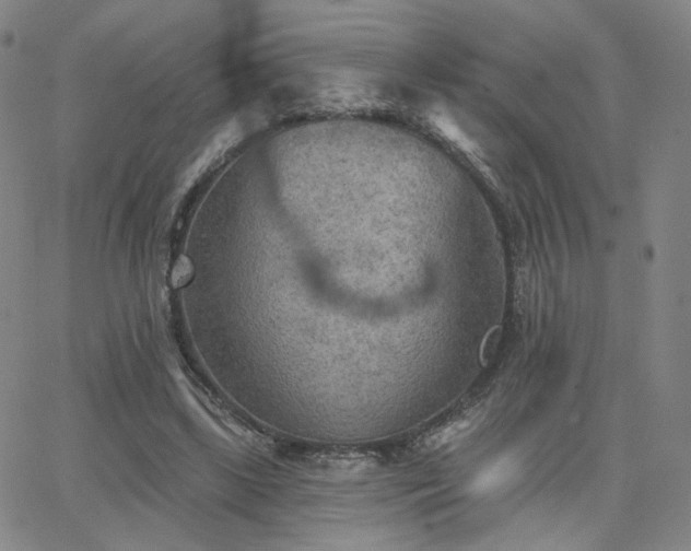 X0000063450443200601201224