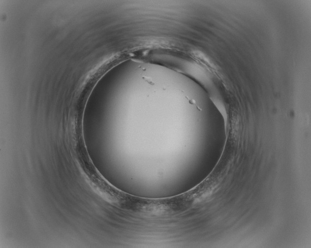 X0000063450444200601201224