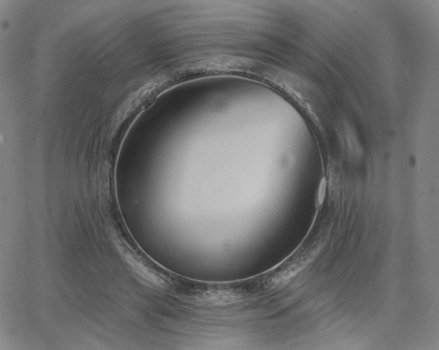 X0000063450445200601201224