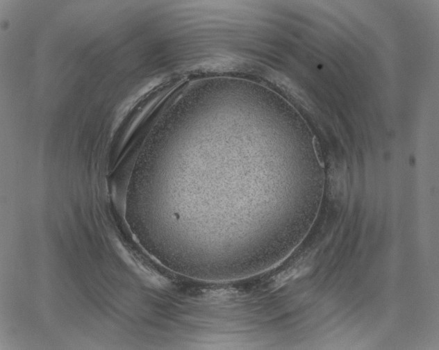 X0000063450446200601201224