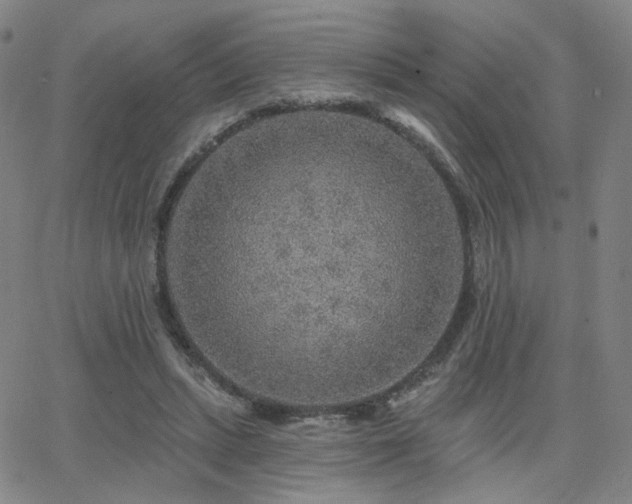 X0000063450447200601201225