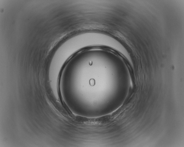 X0000063450448200601201225