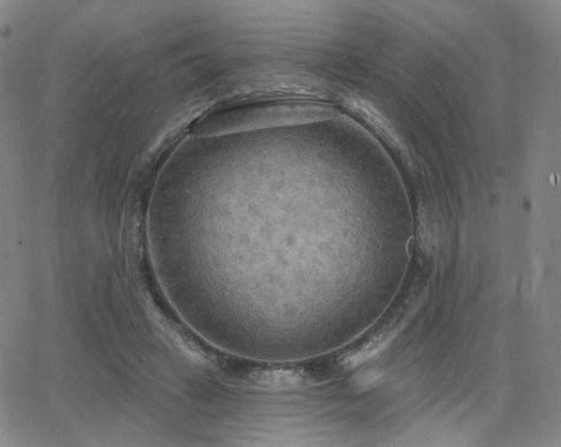 X0000063450449200601201225