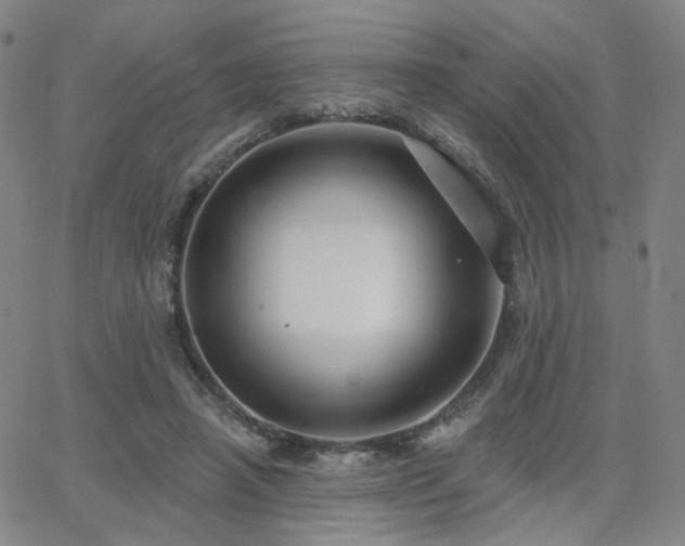 X0000063450450200601201225