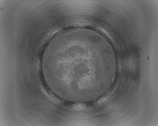 X0000063450451200601201225