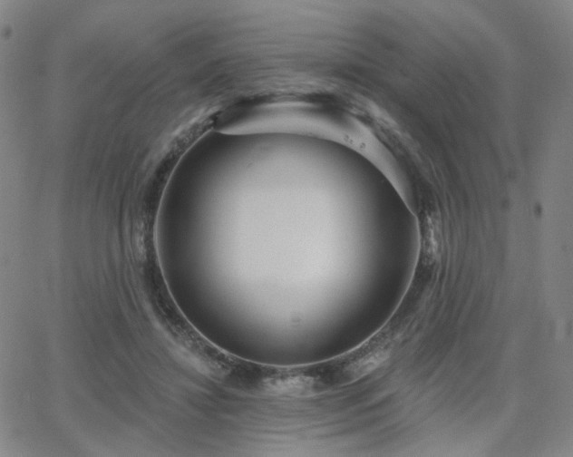 X0000063450452200601201225