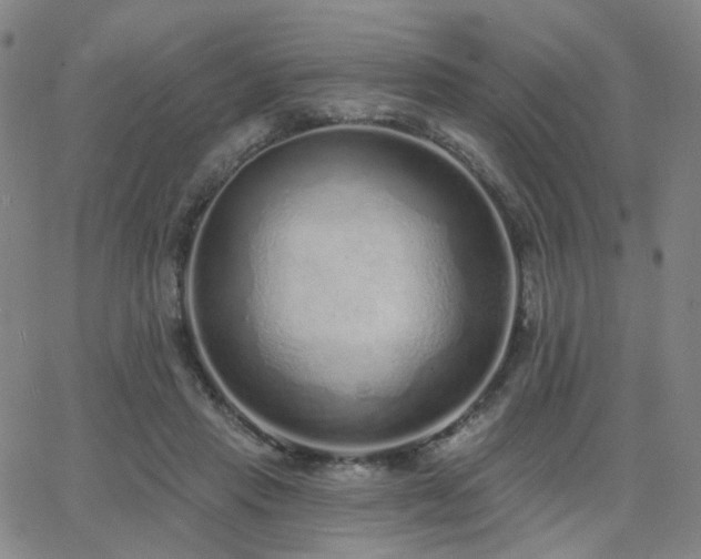 X0000063450453200601201225