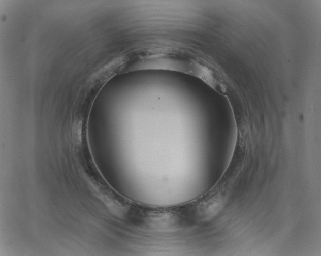 X0000063450454200601201225