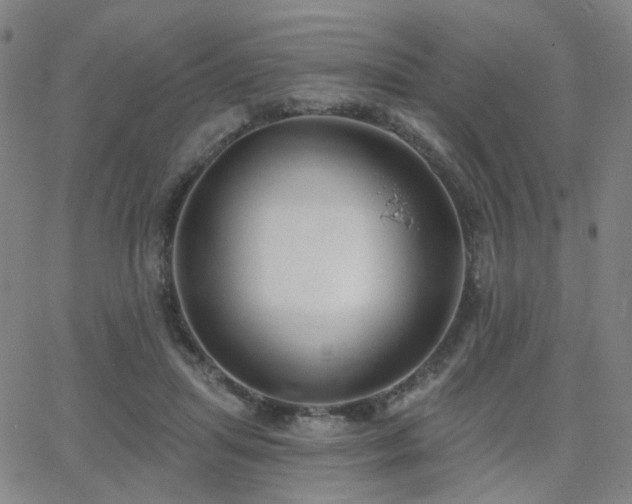 X0000063450455200601201225