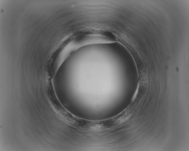 X0000063450456200601201225