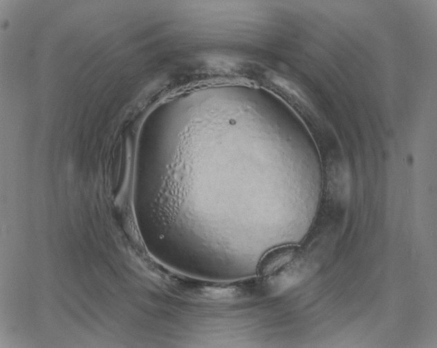 X0000063450457200601201225