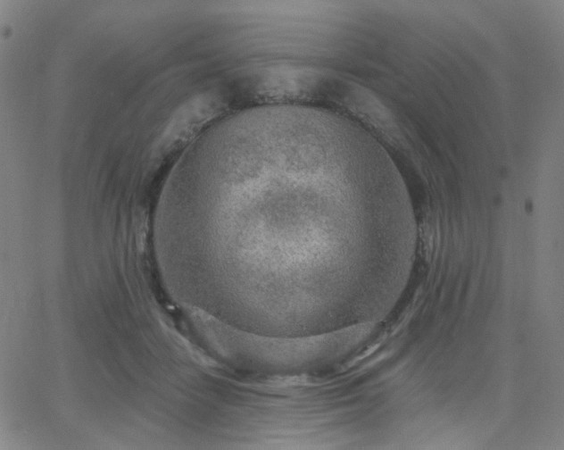 X0000063450458200601201225