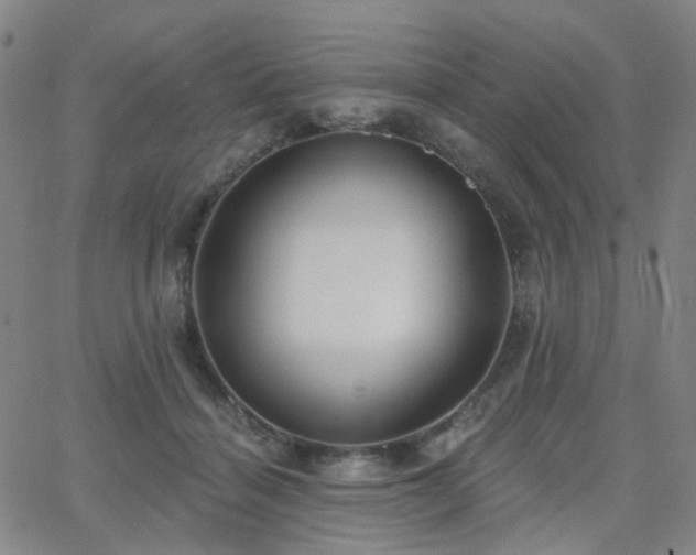 X0000063450460200601201225