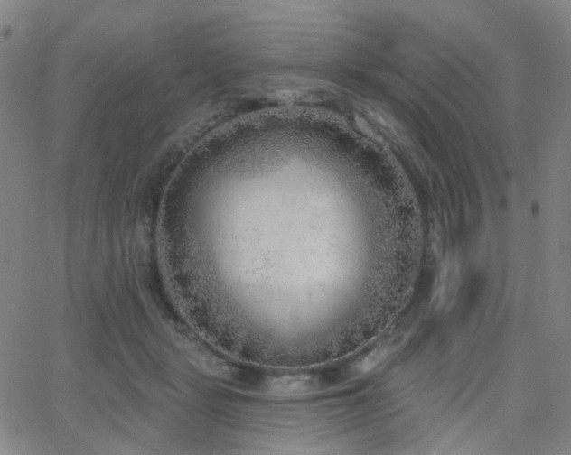 X0000063450461200601201225