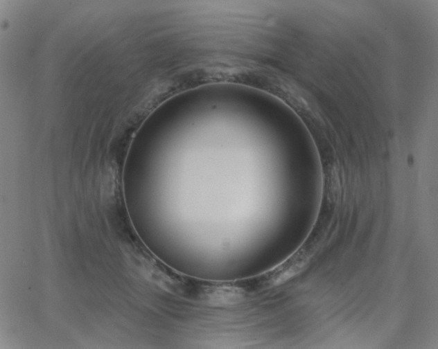 X0000063450463200601201225