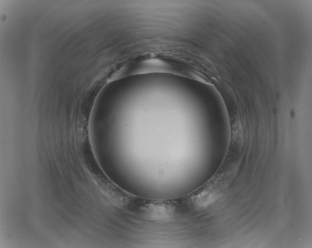 X0000063450464200601201225