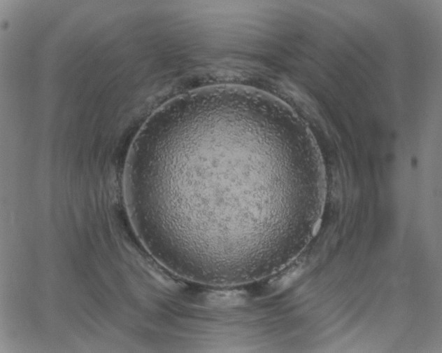 X0000063450465200601201225