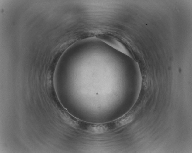 X0000063450466200601201225